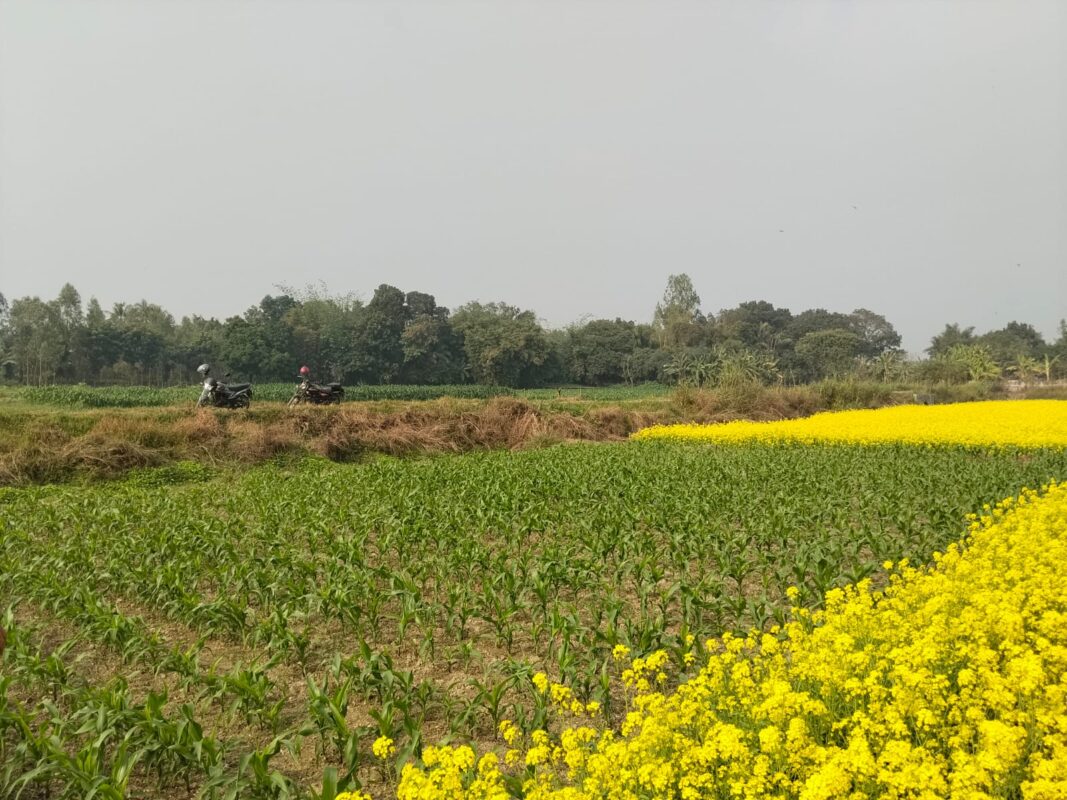 Project Location: Kwarjani, Manikganj This residential land project is located near Kaliganga river in Manikganj district. The area has good road access and growing residential development.